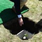 Placing a flower in with the urn